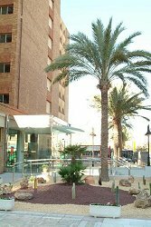 Castilla Hotel Alicante