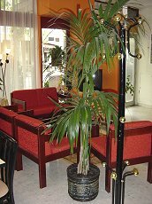 Photo hotel INTER HOTEL DE PARIS ET DES VOYAGEURS VALENCE